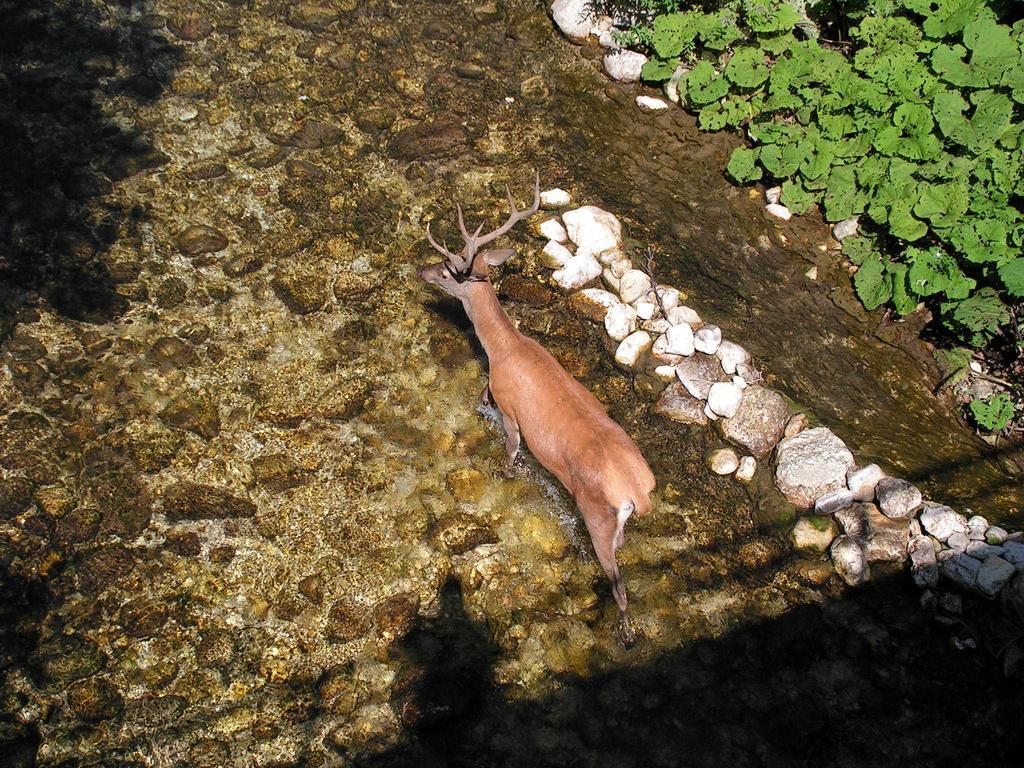 Hotel Il Vecchio Pescatore Вилета Бареа Екстериор снимка